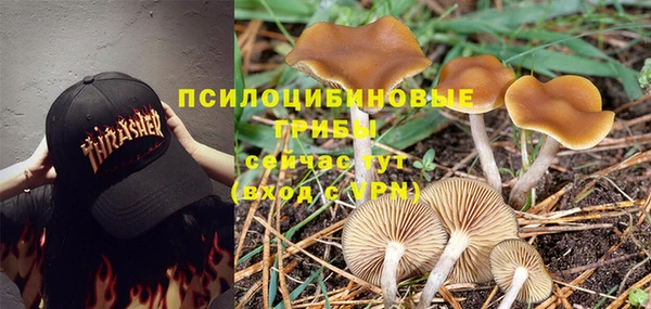 MESCALINE Богданович